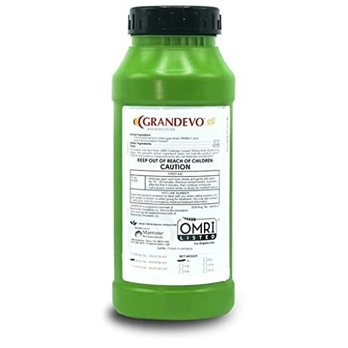 Marrone Bio Innovations Grandevo CG Insecticide 1-Pound: $46 Marrone Bio Innovations Grandevo CG Insecticide 1-Pound: $46