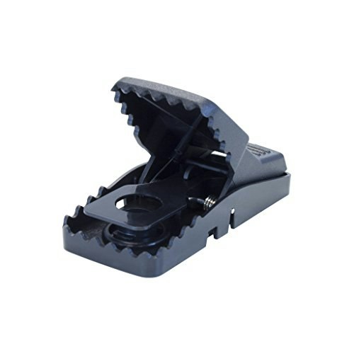Trapper T-Rex Mini Mouse Snap Traps 24-Pack: $52.99 Trapper T-Rex Mini Mouse Snap Traps 24-Pack: $52.99