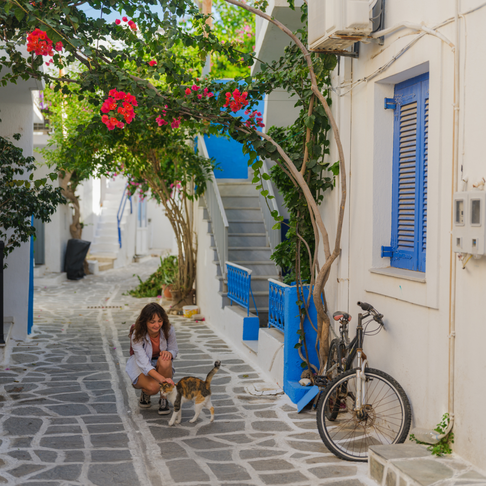 Holland America 7-Night Greek Isles Cruise: From $2,018 for 2 Holland America 7-Night Greek Isles Cruise: From $2,018 for 2