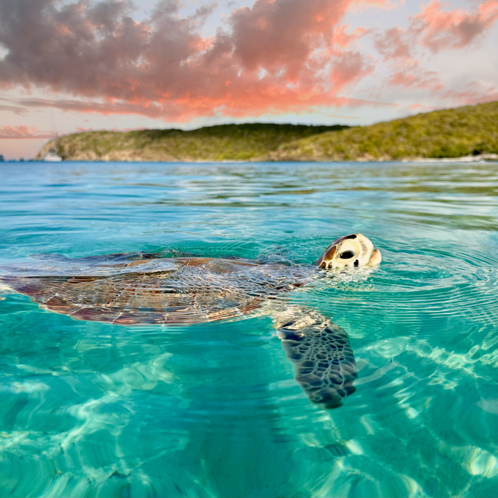 Norwegian 7-Night Caribbean Round-Trip Cruise From Miami: From $1,118 for 2 Norwegian 7-Night Caribbean Round-Trip Cruise From Miami: From $1,118 for 2