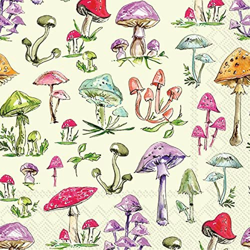 IHR Rosanne Beck 3-Ply Paper Cocktail Napkins 20-Count: $6.07 IHR Rosanne Beck 3-Ply Paper Cocktail Napkins 20-Count: $6.07