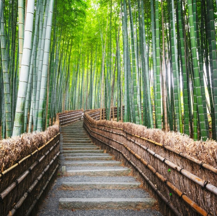 9-Night Tokyo, Kyoto, and Osaka Flight, Hotel, and Tour Vacation: From $4,098 for 2 9-Night Tokyo, Kyoto, and Osaka Flight, Hotel, and Tour Vacation: From $4,098 for 2