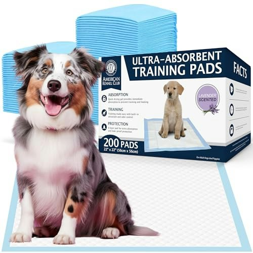 AKC 22" x 22" Lavender Scented Puppy Training Pads 200-Count: $36.13 AKC 22" x 22" Lavender Scented Puppy Training Pads 200-Count: $36.13