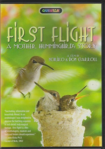 First Flight: $10.56