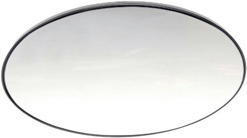 Dorman Driver Side Door Mirror Glass: $13.37 Dorman Driver Side Door Mirror Glass: $13.37