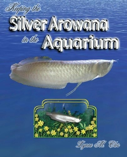 Silver Arowana Care Guide: $16.31