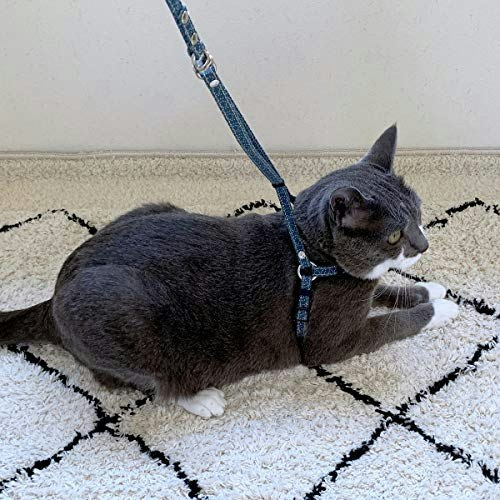 Zen Fish Charm Cat Harness and Leash Set: $17.83