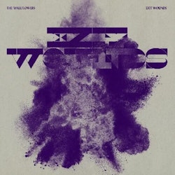 The Wallflowers Exit Wounds Vinyl LP for $10 + free shipping