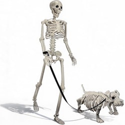 3-Foot Human & Dog Skeleton Halloween Set for $20 + free shipping w/ Prime