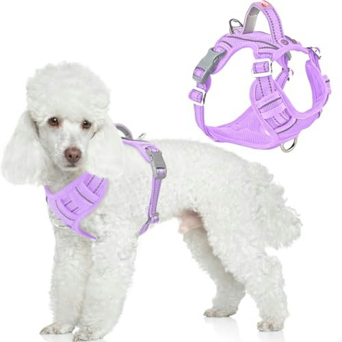Barkbay No-Pull Dog Harness: $26.99 Barkbay No-Pull Dog Harness: $26.99