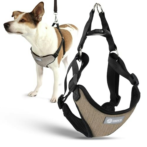 AKC Premium Padded Step-in Dog Harness: $10.24 AKC Premium Padded Step-in Dog Harness: $10.24