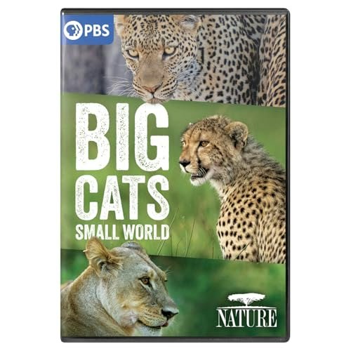 Nature: Big Cats, Small World DVD: $16.95 Nature: Big Cats, Small World DVD: $16.95
