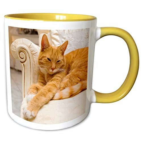 3dRose Happy Orange Tabby Cat 11oz Two-Tone Mug: $14.06 3dRose Happy Orange Tabby Cat 11oz Two-Tone Mug: $14.06