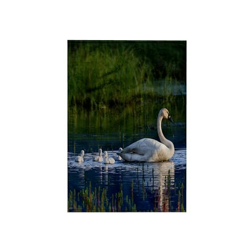 3dRose Danita Delimont Baby Animals Trumpeter 15" x 22" Hand Towel: $12.85