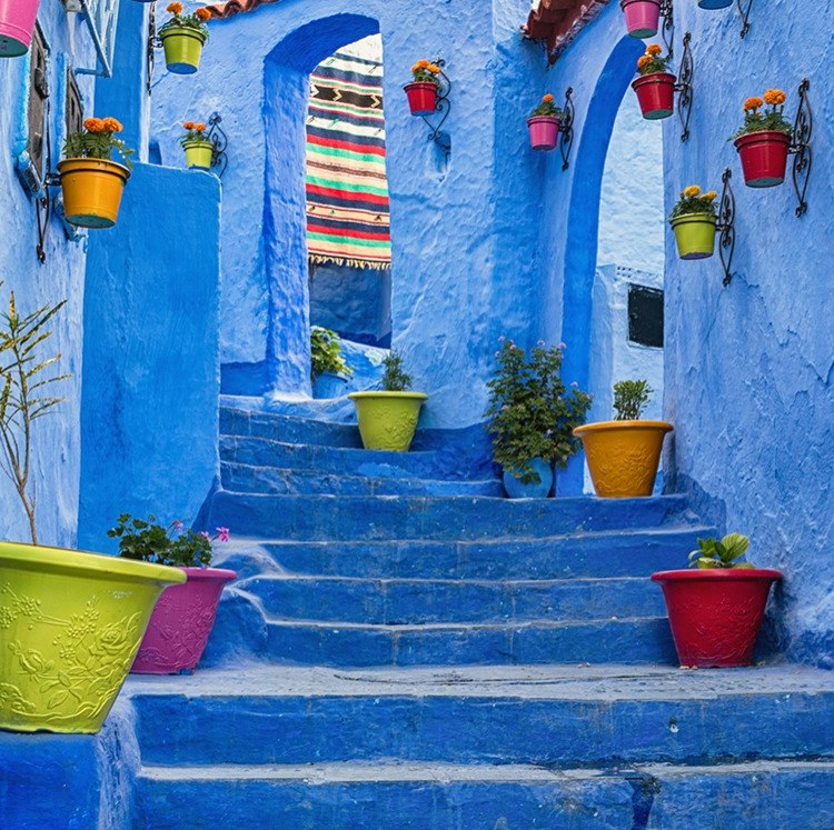 11-Night Morocco Flight, Hotel, and Tour Vacation: From $8,798 for 2