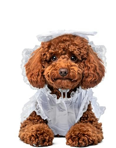 Rubies Bride Pet Costume: $2.74 Rubies Bride Pet Costume: $2.74