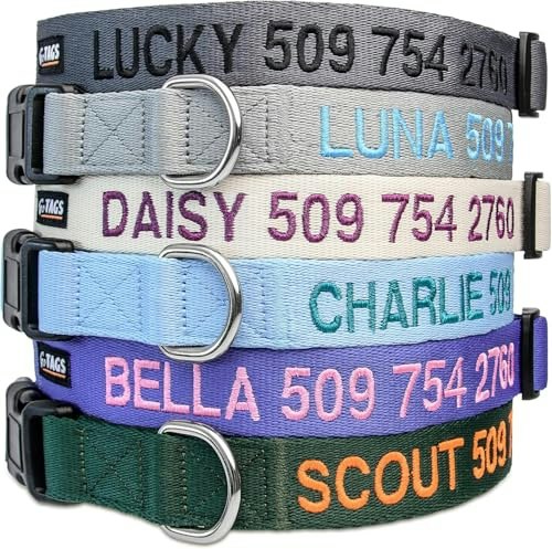 GoTags Personalized Embroidered Dog Collar: $17.93