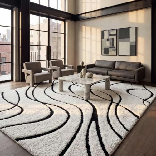 Safavieh Florida Shag 9x12-Foot Area Rug: $321.44 Safavieh Florida Shag 9x12-Foot Area Rug: $321.44