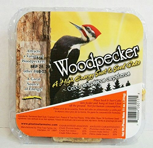 Pine Tree Farms PTF6011 Woodpecker High Energy Suet 12-Pack: $7.94 Pine Tree Farms PTF6011 Woodpecker High Energy Suet 12-Pack: $7.94