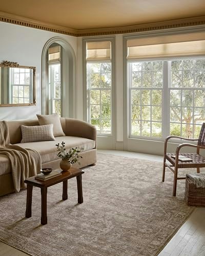 Loloi Magnolia Home Pace 8' x 10' Area Rug: $126.99
