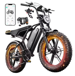 Limite 48V Electric Bicycle for $389 + free shipping