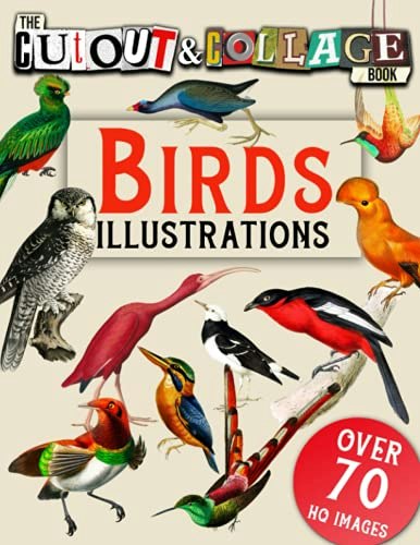 The Cut Out and Collage Book: Birds Illustrations: $15.32 The Cut Out and Collage Book: Birds Illustrations: $15.32