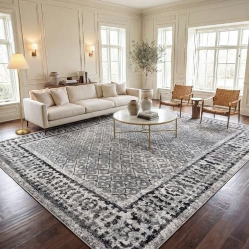 Safavieh Adirondack 10' x 14' Area Rug: $206.99 Safavieh Adirondack 10' x 14' Area Rug: $206.99