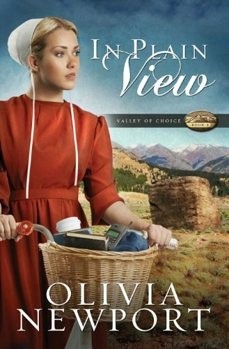 In Plain View: Valley of Choice Book 2: $6.29 In Plain View: Valley of Choice Book 2: $6.29