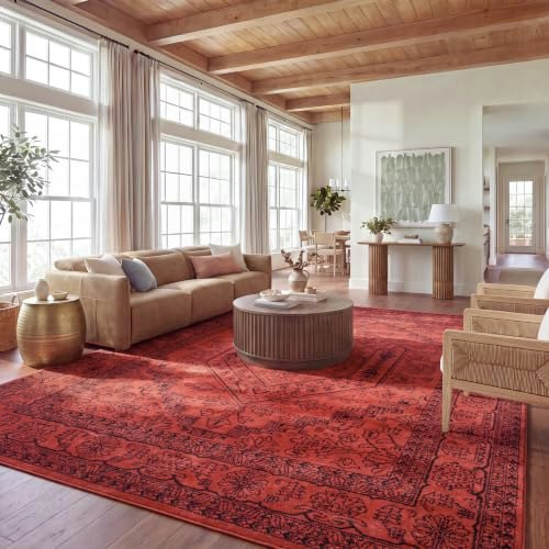 Safavieh Adirondack 11x15-Foot Area Rug: $239.99 Safavieh Adirondack 11x15-Foot Area Rug: $239.99