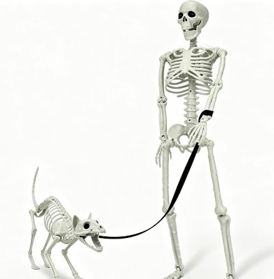 Lighted Human & Cat Skeleton for $23 w/ Prime + free shipping w/ Prime