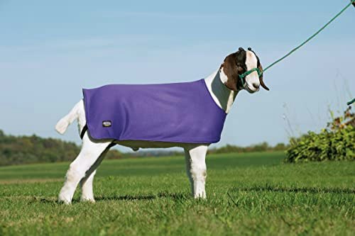 Weaver Leather Sheep and Goat Underblanket: $32.19 Weaver Leather Sheep and Goat Underblanket: $32.19