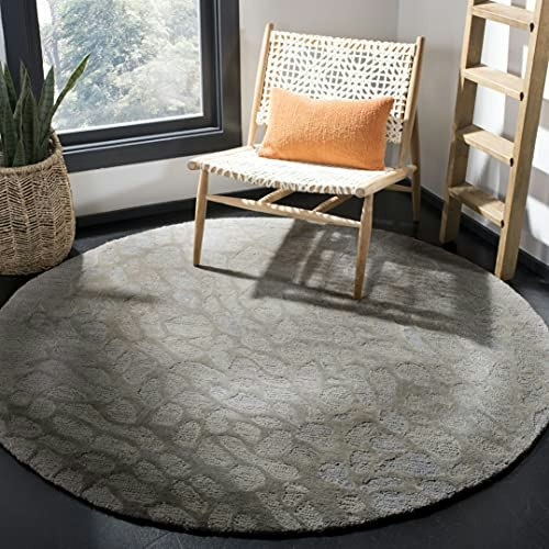 Safavieh Blossom 6-Foot Round Area Rug: $105.99 Safavieh Blossom 6-Foot Round Area Rug: $105.99