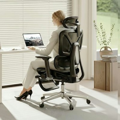 FlexiSpot ErgoX Premium Ergonomic Office Chair for $270 + free shipping