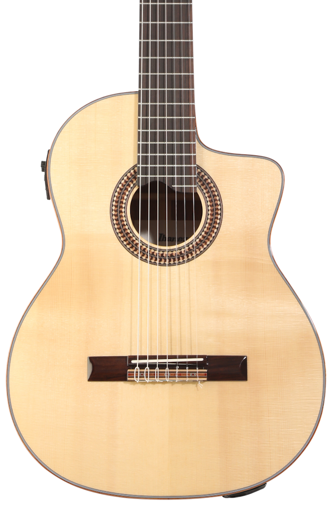 Ibanez Cutaway Classical 7-String Acoustic-Electric Guitar: $850