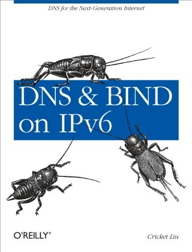 DNS and BIND on IPv6: $12.99