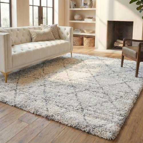 Safavieh Fontana Shag 8x10 Area Rug: $239.99 Safavieh Fontana Shag 8x10 Area Rug: $239.99