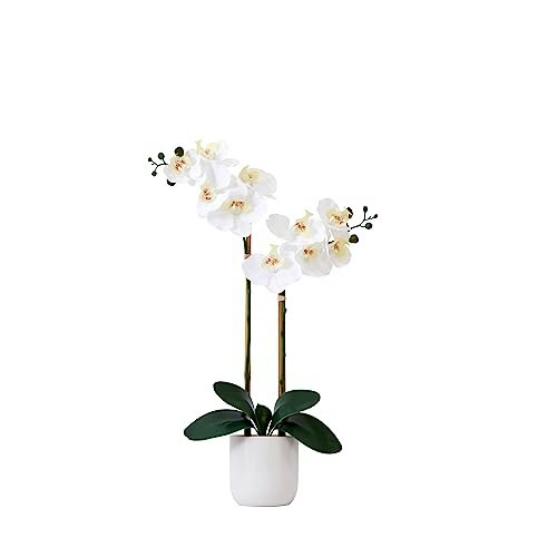 Nearly Natural 26-inch Artificial Double Phalaenopsis Orchid in Vase: $23.79 Nearly Natural 26-inch Artificial Double Phalaenopsis Orchid in Vase: $23.79