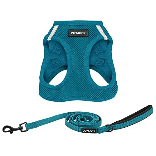 Best Pet Supplies Voyager Step-In Air Mesh Harness and 5ft Leash Combo: $15.19