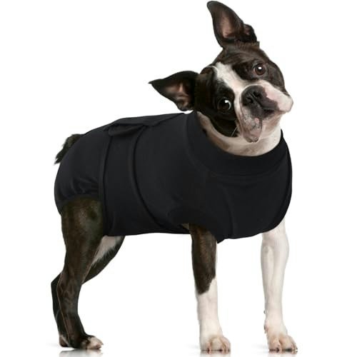 Fuamey Dog Recovery Suit: $27.19 Fuamey Dog Recovery Suit: $27.19