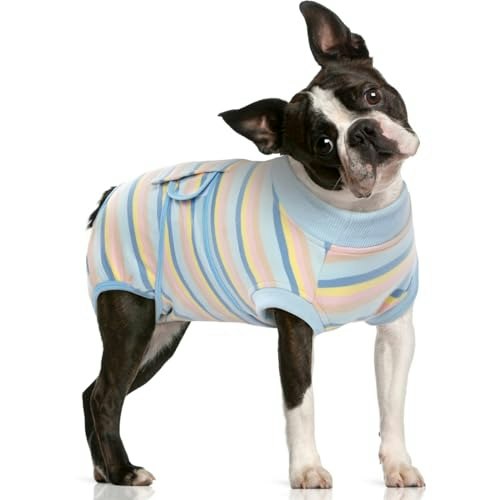 Fuamey Dog Surgery Recovery Suit: $25.48 Fuamey Dog Surgery Recovery Suit: $25.48