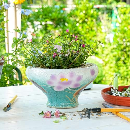 Sungmor 9.6-Inch Ceramic Succulent Plant Pot: $37.99 Sungmor 9.6-Inch Ceramic Succulent Plant Pot: $37.99