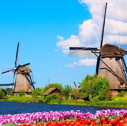 Avalon 7-Night Netherlands & Belgium Tulip Time River Cruise for From $8,902 for 2