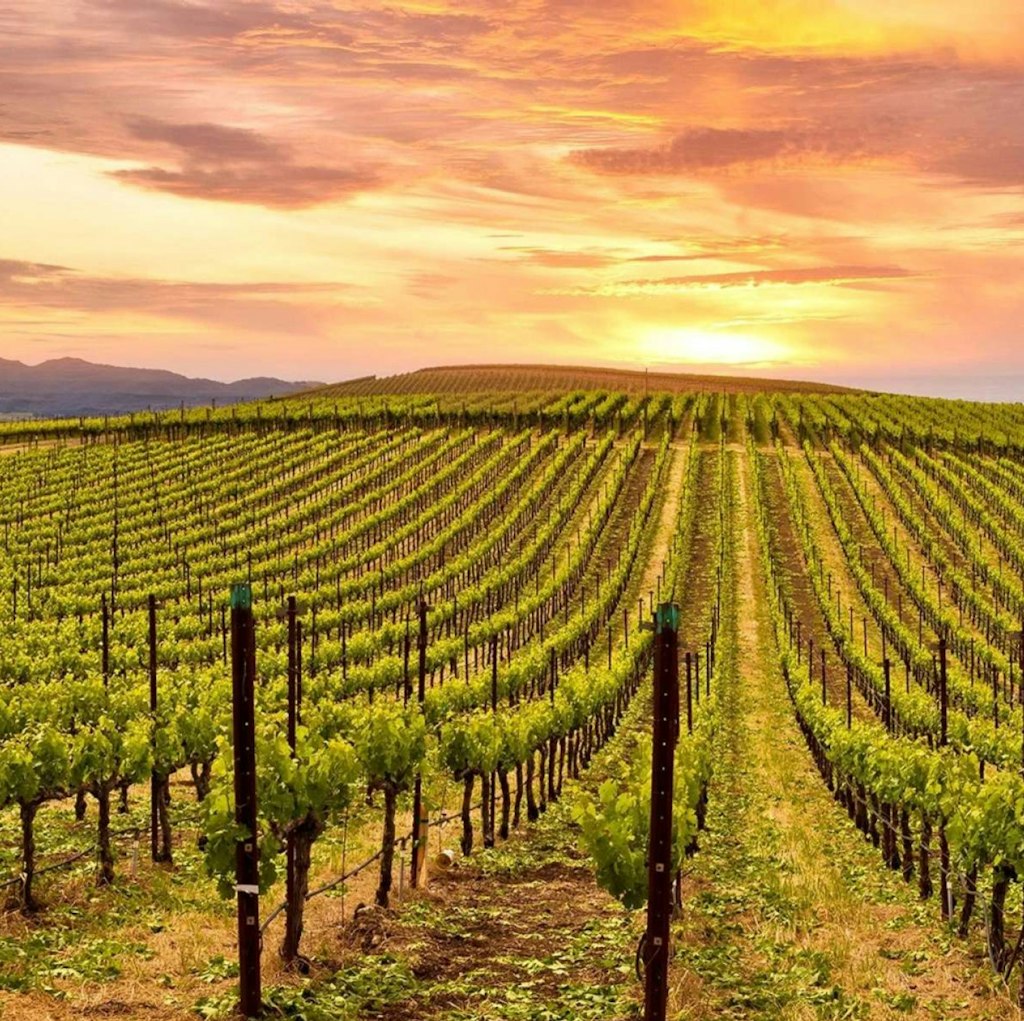 2-Night Napa Valley Marriott Hotel & Spa Deal: From $519 for 2