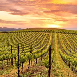 2-Night Napa Valley Marriott Hotel & Spa Deal for From $519 for 2