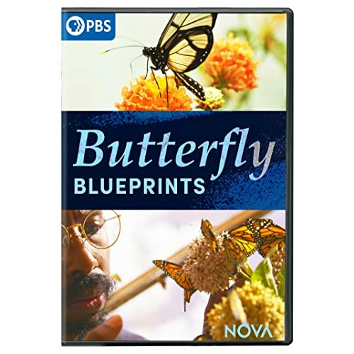 Nova Butterfly Blueprints: $16.11