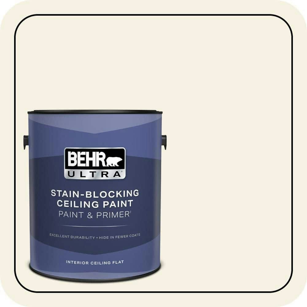 White Veil Ceiling Flat Interior Paint 1-Gallon: $42.98 White Veil Ceiling Flat Interior Paint 1-Gallon: $42.98