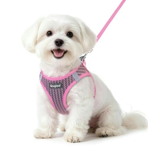 Eagloo Small Dog Harness and Leash Set: $12.79 Eagloo Small Dog Harness and Leash Set: $12.79