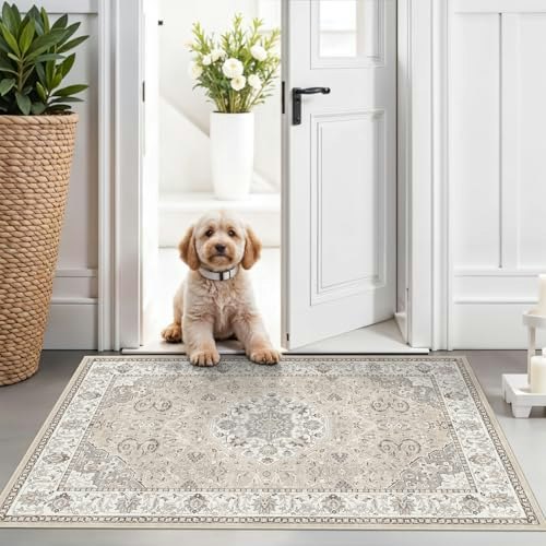 2'x3' Washable Entryway Area Rug: $11.30 2'x3' Washable Entryway Area Rug: $11.30
