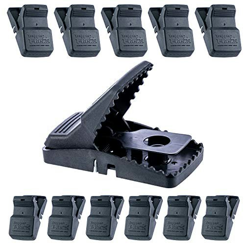 Trapper T Rex Rat Traps 12-Pack: $80.70