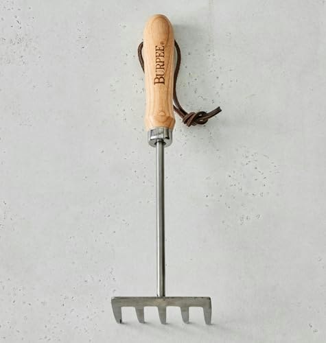 Burpee 11-inch Stainless Steel Tine Cultivator: $11.92 Burpee 11-inch Stainless Steel Tine Cultivator: $11.92
